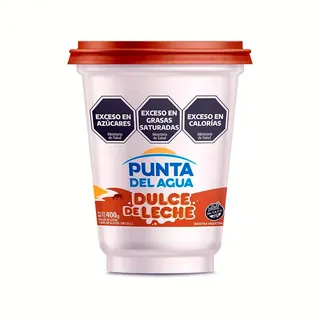 Dulce de Leche Punta del Agua 400 g